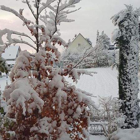 Feriendomizil Bergamini Apartment Bischoffingen Bagian luar foto