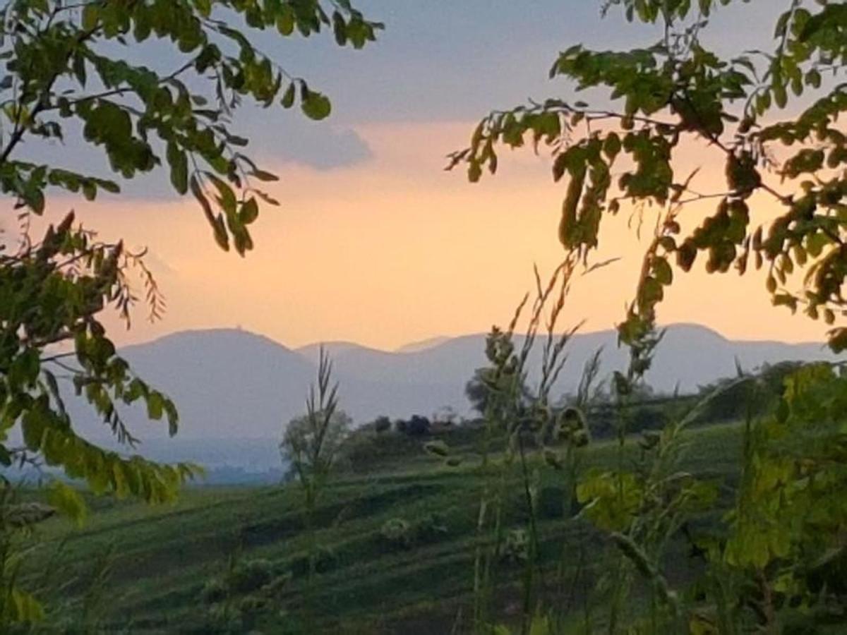 Feriendomizil Bergamini Apartment Bischoffingen Bagian luar foto
