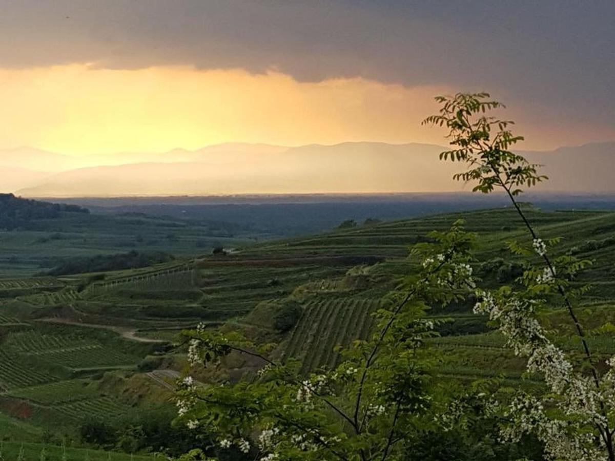 Feriendomizil Bergamini Apartment Bischoffingen Bagian luar foto